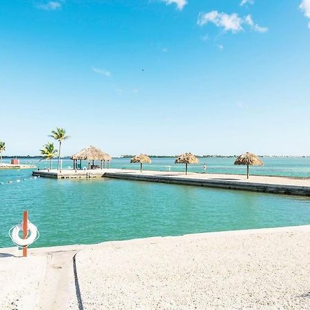 Nautilus...Ocean Front Cottage Retreat ~ Cudjoe Key Luaran gambar